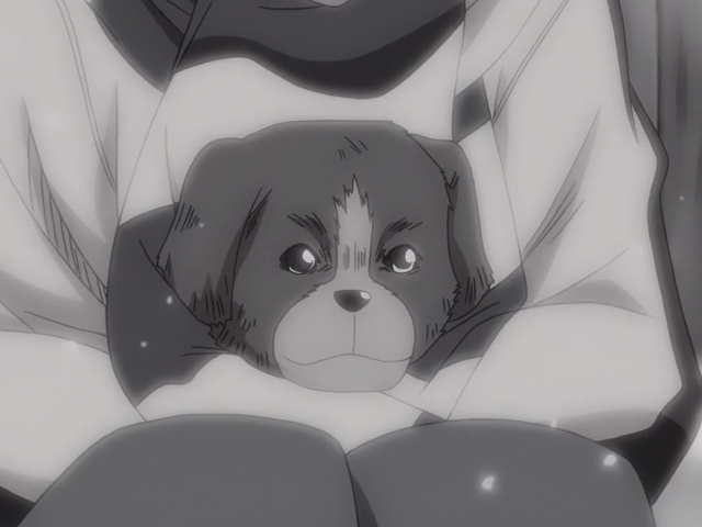 La Ley de Ueki (Oraora)